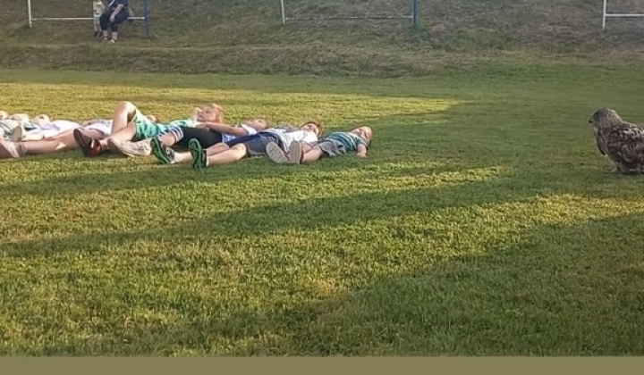 Zobraziť fotografiu