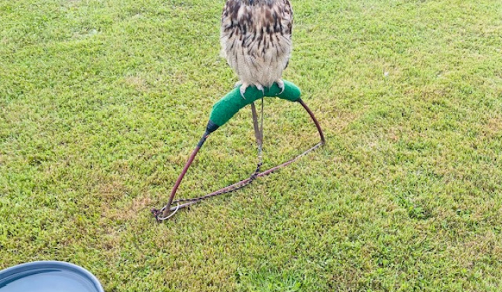 Zobraziť fotografiu